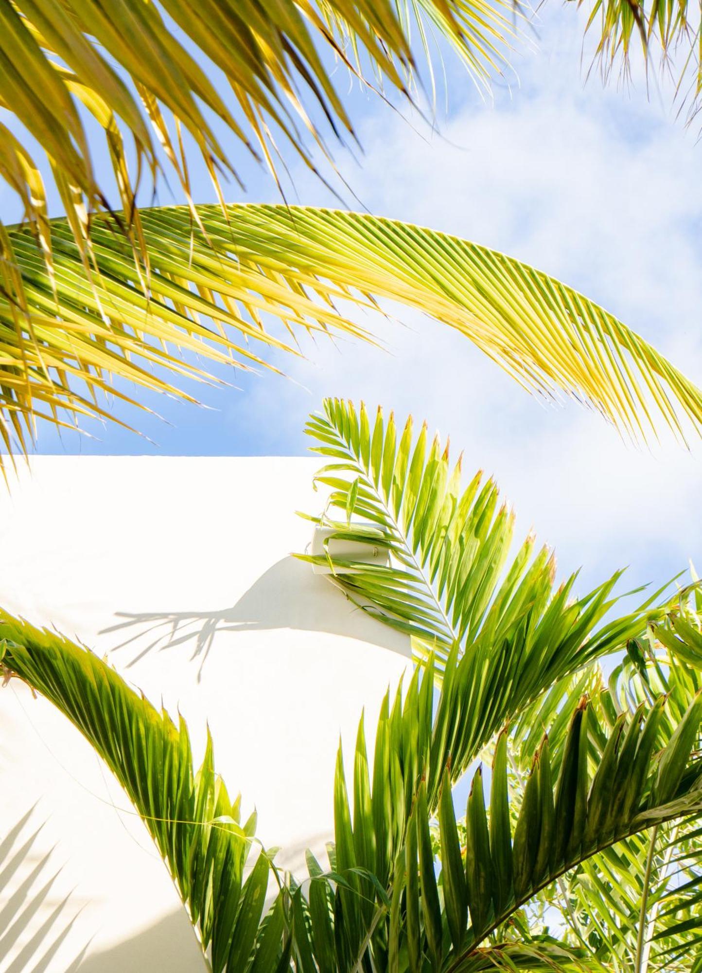 Le Martin Boutique Hotel Cul de Sac 外观 照片